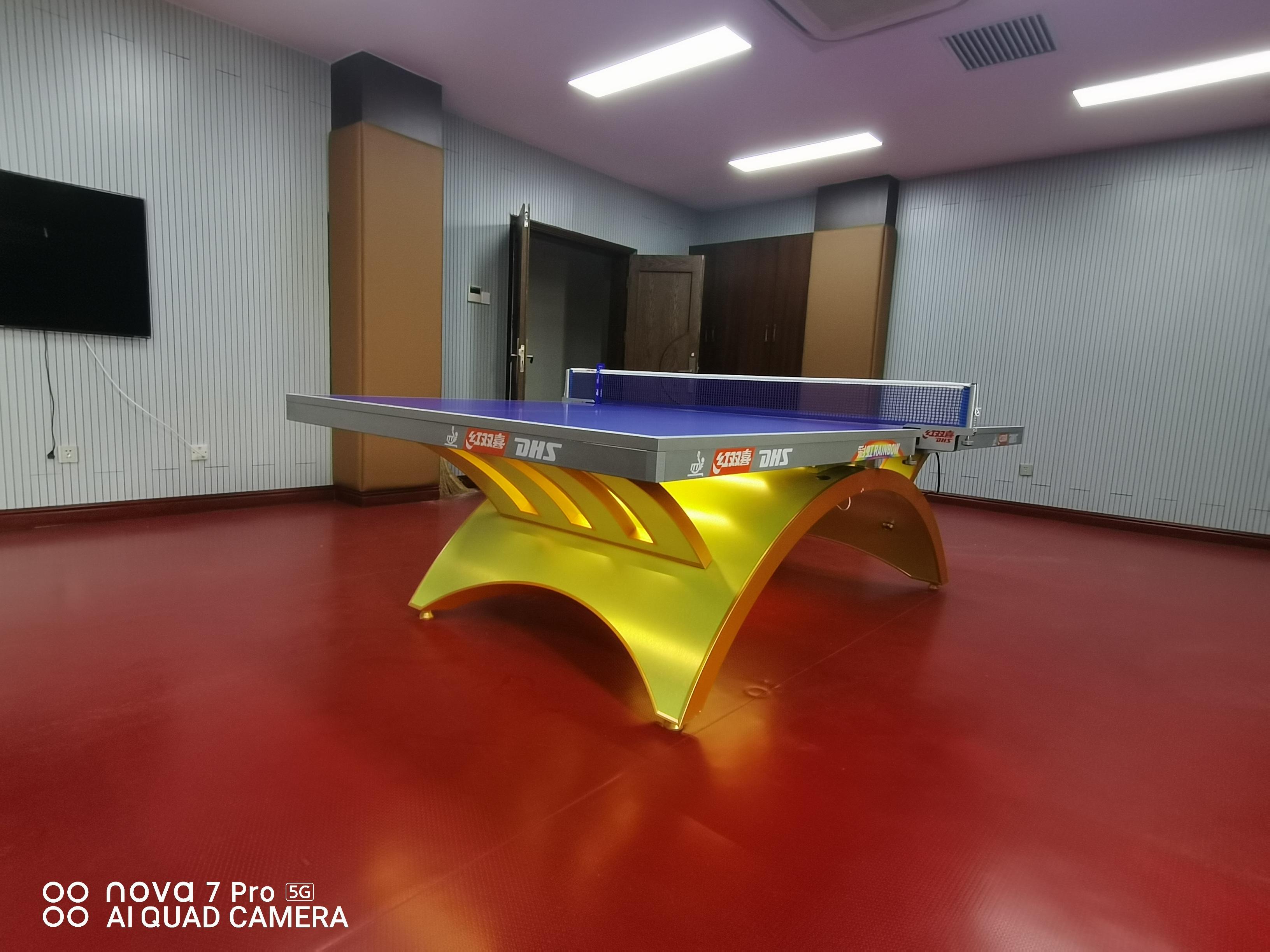 體育器材，紅雙喜乒乓球臺