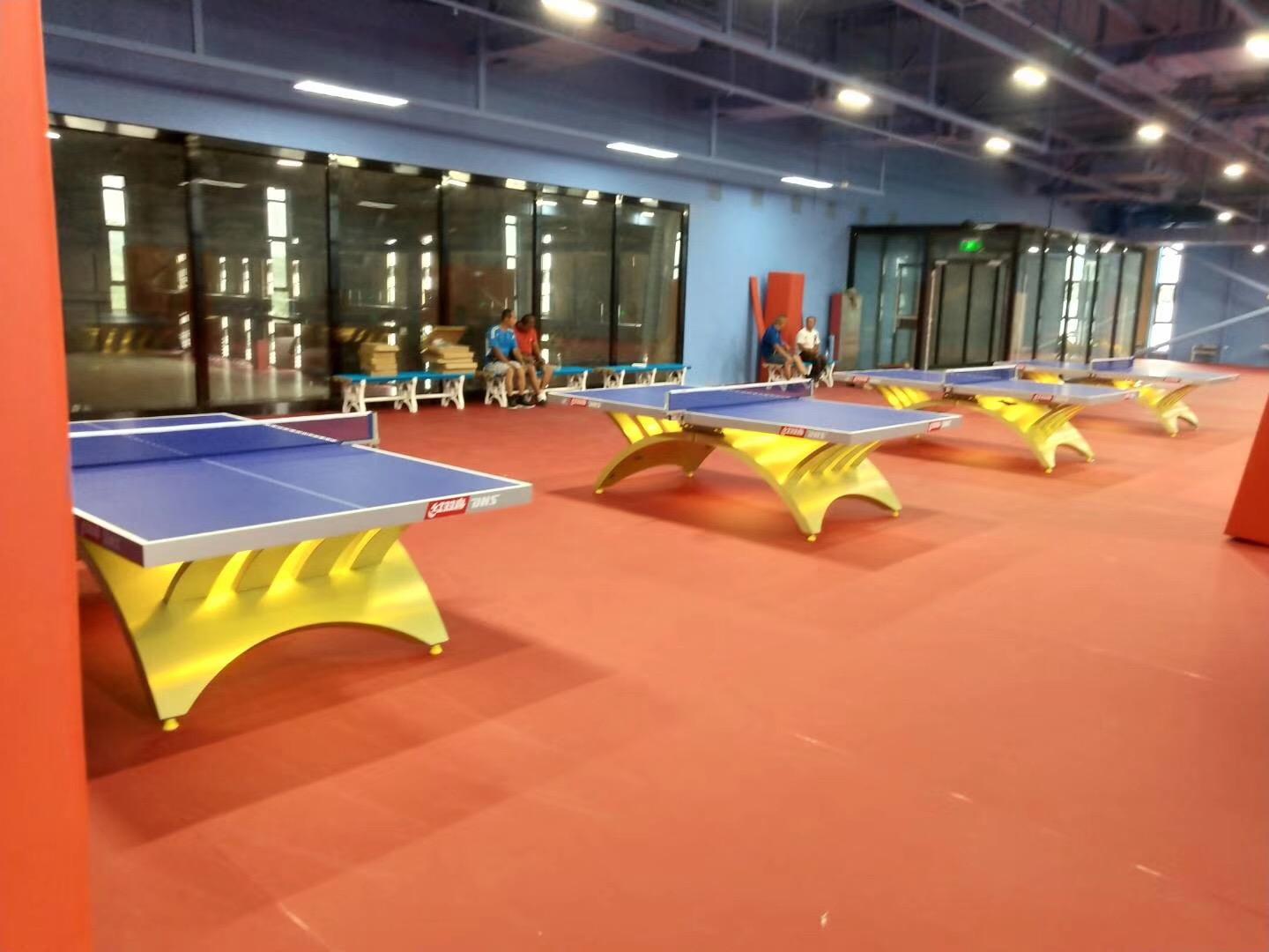 乒乓球臺(tái) (22).JPG