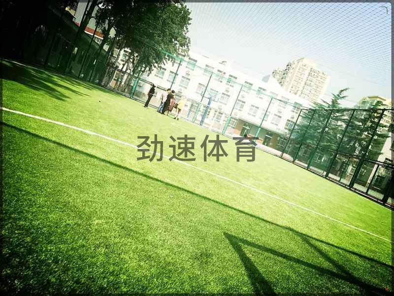 學校網(wǎng)式足球場