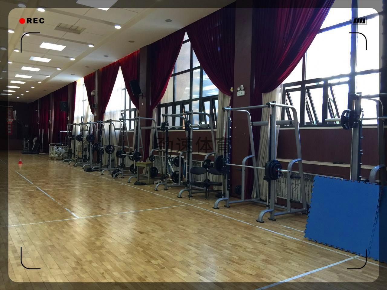 陳經(jīng)綸中學健身器材